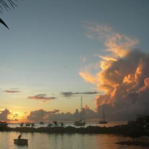 Coco Reef, Tobago